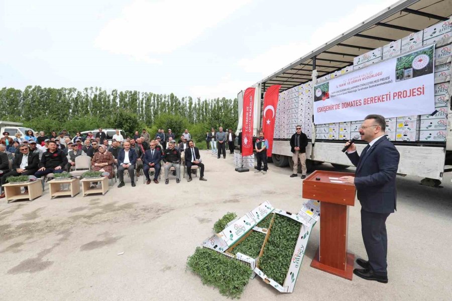 Vali Hüseyin Aksoy Çiftçilere Domates Fidesi Dağıttı