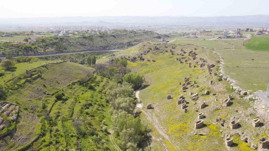 Türkülere Konu Olan Gesi Bağları Koruma Altına Alınacak