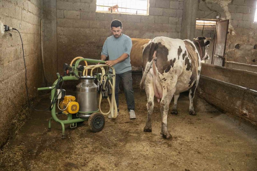 Mersin Büyükşehir Belediyesinden Süt Üreticilerine Destek