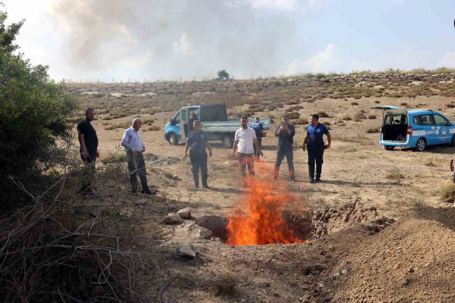 Mersin’de Menşei Belirsiz 500 Kilo Et Ele Geçirildi