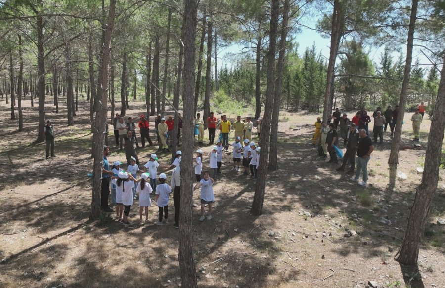 Çocuklar, Ormanlık Alanda Temizlik Yaptı