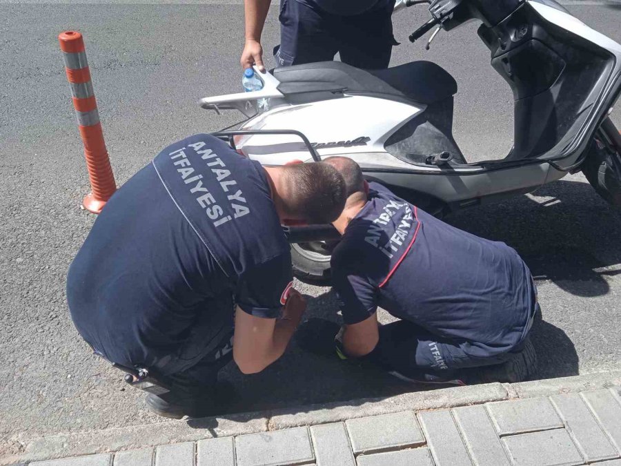Alanya’da Motosikletin İçine Sıkışan Kedi 15 Dakikalık Çalışmayla Kurtarıldı
