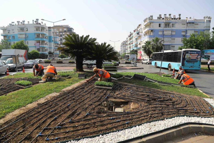 Antalya Yazlık Çiçeklerle Rengarenk Olacak