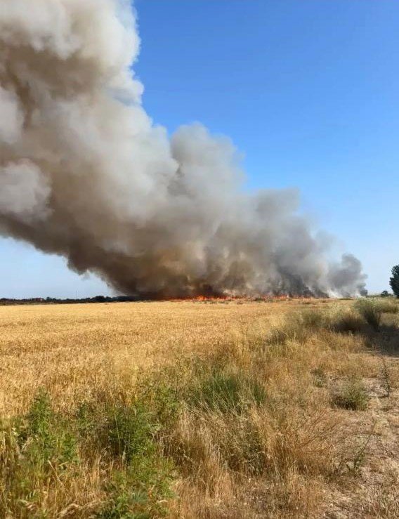 Antalya’da 250 Dekarlık Buğday Tarlası Hasat Yapılamadan Kül Oldu