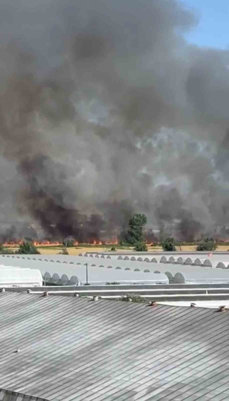 Antalya’da 250 Dekarlık Buğday Tarlası Hasat Yapılamadan Kül Oldu