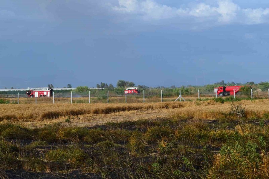 Antalya’da 250 Dekarlık Buğday Tarlası Hasat Yapılamadan Kül Oldu