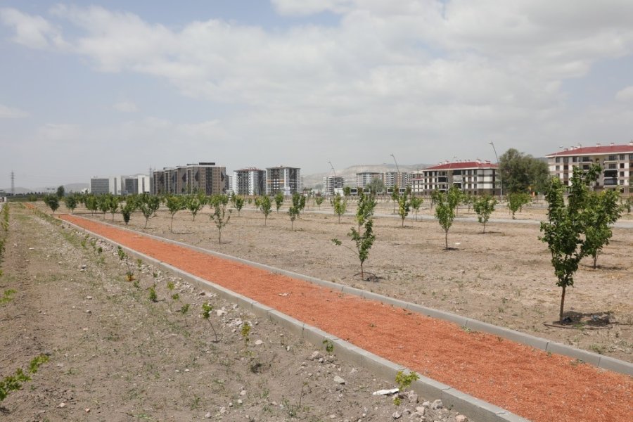 Başkan Çolakbayrakdar: “kayseri’nin İlk Meyve Bahçeli Parkı İle Çocuklar Dalından Meyve Yeme İmkanı Bulacak”