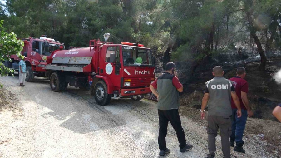 Manavgat’ta Orman Yangını Ucuz Atlatıldı