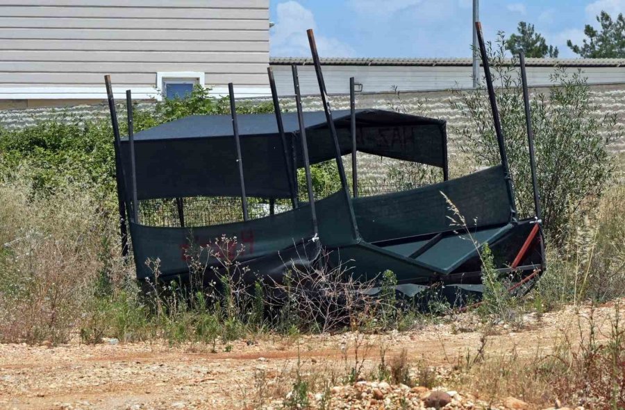 Çadır Kente Dönen Mezarlık, Tentelerden Temizleniyor