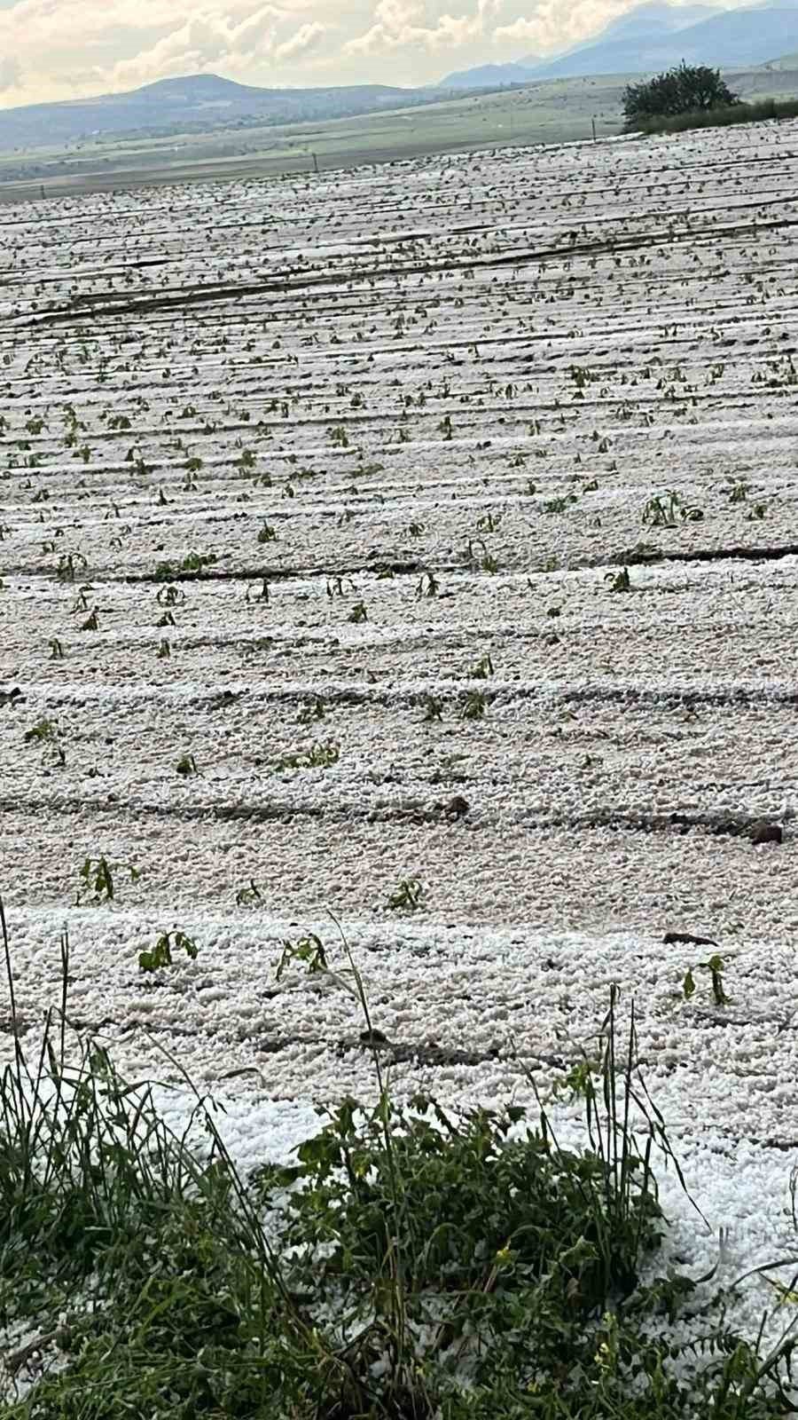 Kayseri’de Yağış Etkili Oluyor