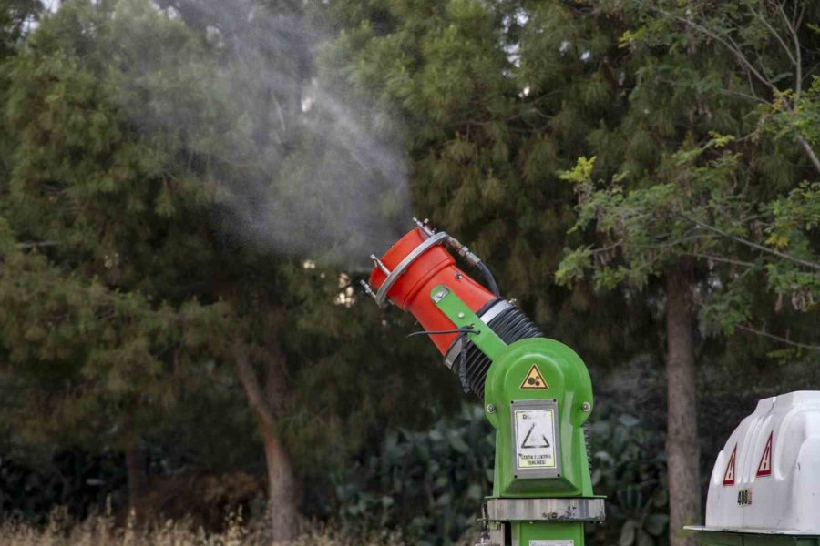 Mersin’de Haşere Ve Larva Gündüz, Uçkun İlaçlaması İse Gece Yapılıyor