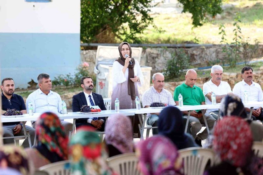 3. Esenli Üzüm Şenliği Temmuz Ayında Yapılacak