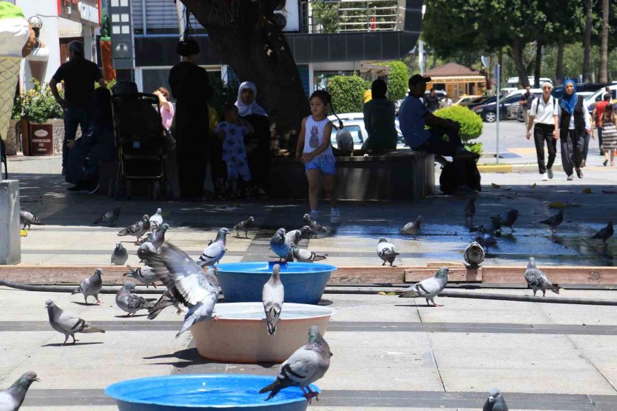 Sıcak Havada "bici Bici" Yiyerek Serinlediler