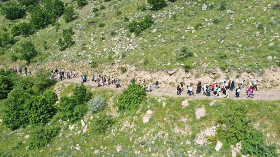 Doğaseverlerin Gözde Mekanı Ortaseki Ormanları