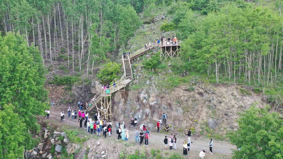 Doğaseverlerin Gözde Mekanı Ortaseki Ormanları