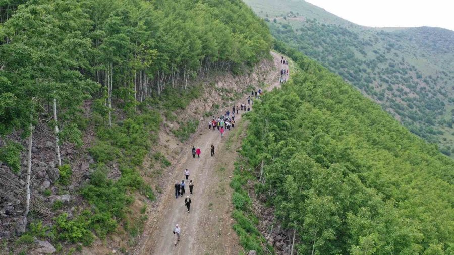 Doğaseverlerin Gözde Mekanı Ortaseki Ormanları