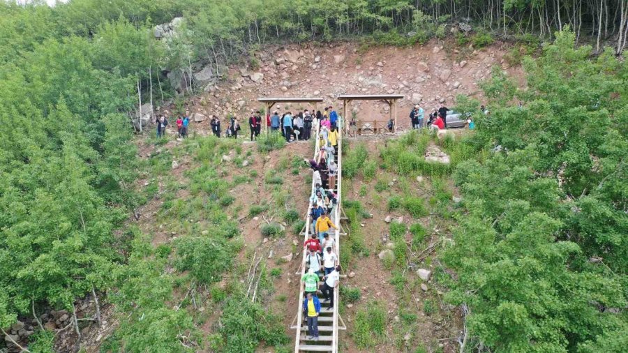 Doğaseverlerin Gözde Mekanı Ortaseki Ormanları