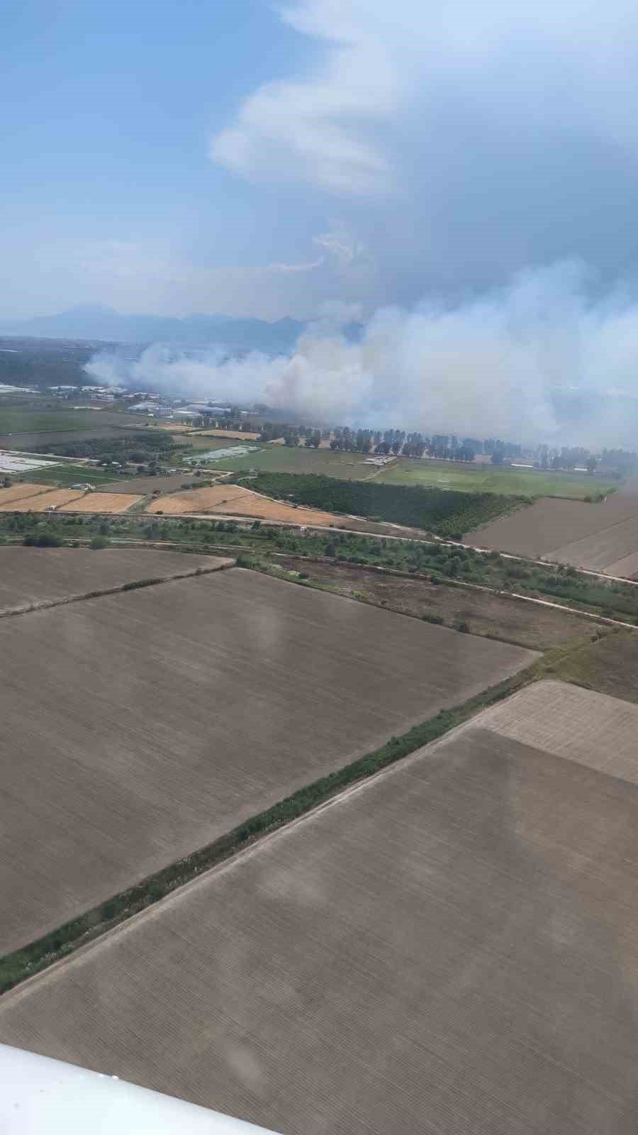 Antalya’da Orman Yangını