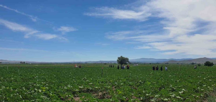 Msb: "eğitim İçin Kalkan Hava Kuvvetleri Komutanlığımıza Ait Sf-260d Tipi Bir Eğitim Uçağımız Kaza Kırıma Uğramıştır"