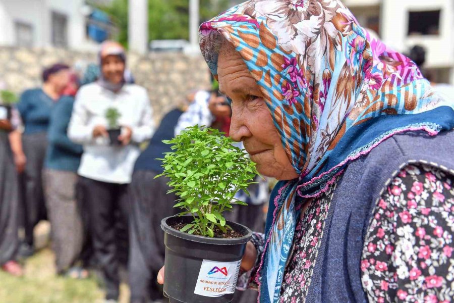 Mersin’de Sivrisinek Ve Haşere İle Bitkisel Mücadele