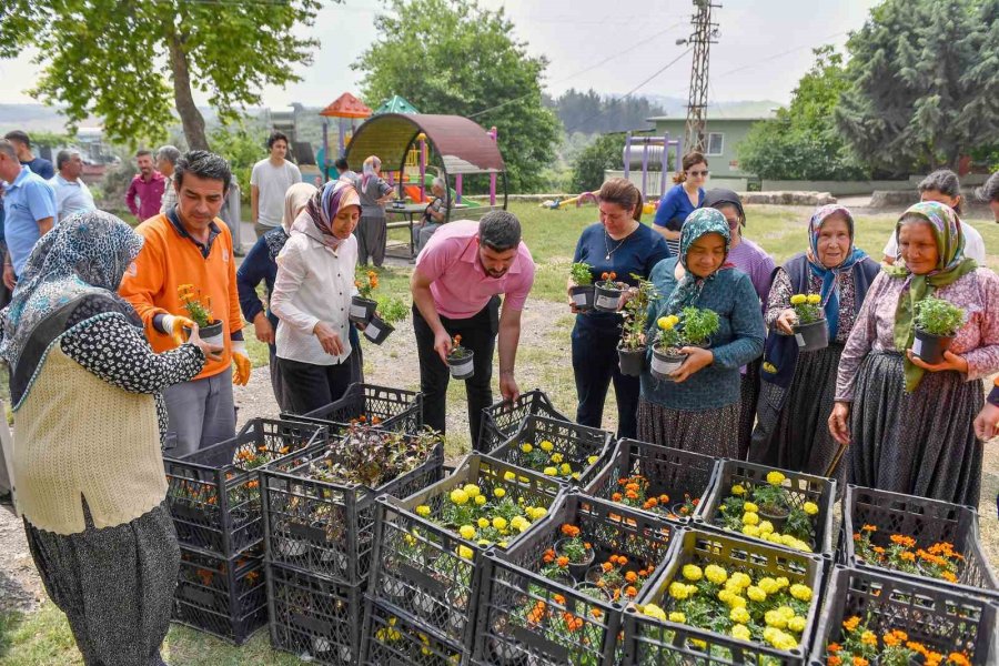 Mersin’de Sivrisinek Ve Haşere İle Bitkisel Mücadele