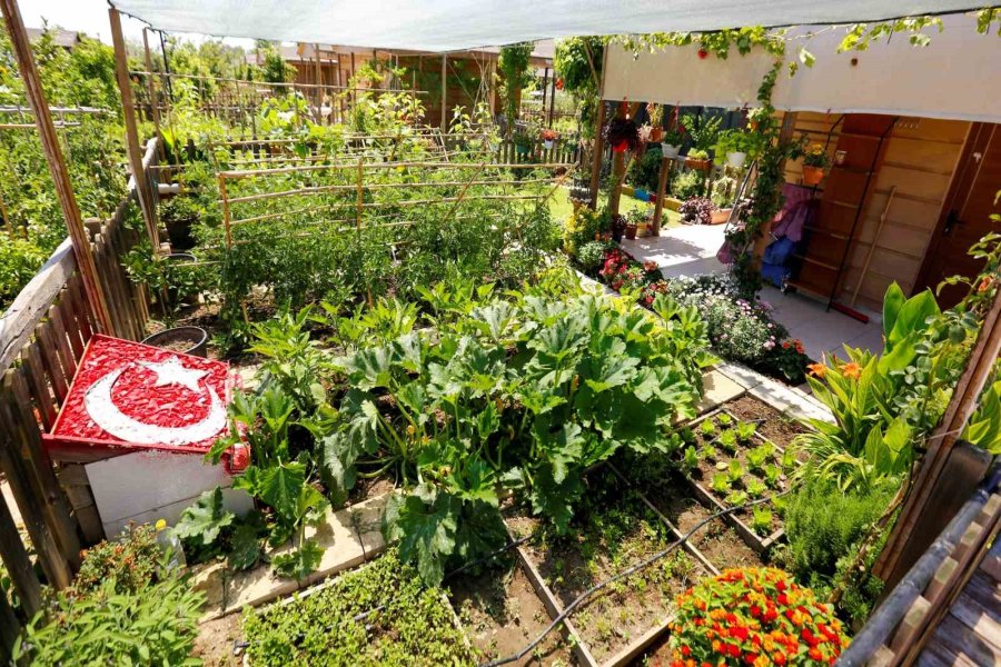 Antalya’nın En Güzel Bahçe, Balkon Ve Terası Belli Oldu