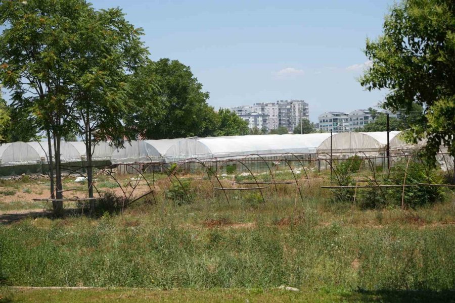 Antalya 19 Yılda 100 Bin Futbol Sahası Büyüklüğünde Tarım Alanını Kaybetti