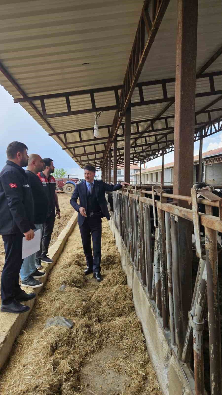 Eskişehir’de “hastalıktan Ari İşletme" Sayısı 12’ye Yükseldi