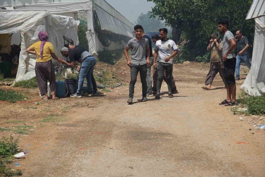 Anız Yakımıyla Başladı Seralara Ve Evlere Sıçradı