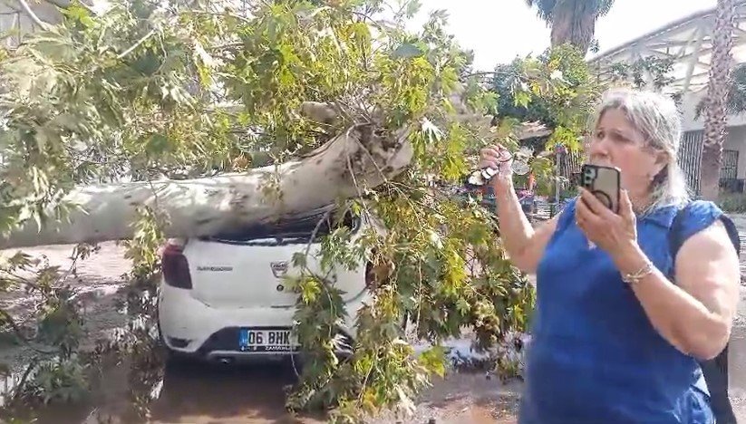 Antalya’da Hava Sıcaklığı 15 Dakikada 16 Derece Birden Düştü, Kum Fırtınası Çıktı, Ağaçlar Devrildi