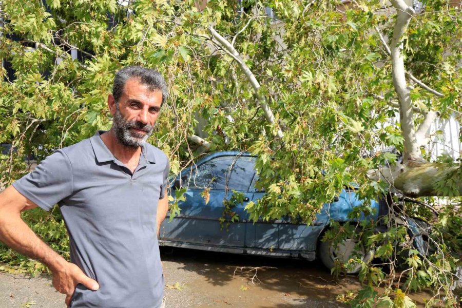 Antalya’da Hava Sıcaklığı 15 Dakikada 16 Derece Birden Düştü, Kum Fırtınası Çıktı, Ağaçlar Devrildi