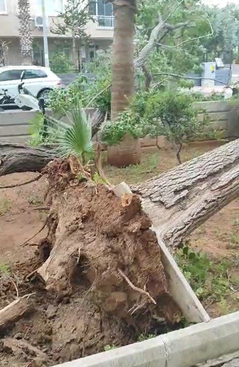 Antalya’da Hava Sıcaklığı 15 Dakikada 16 Derece Birden Düştü, Kum Fırtınası Çıktı, Ağaçlar Devrildi