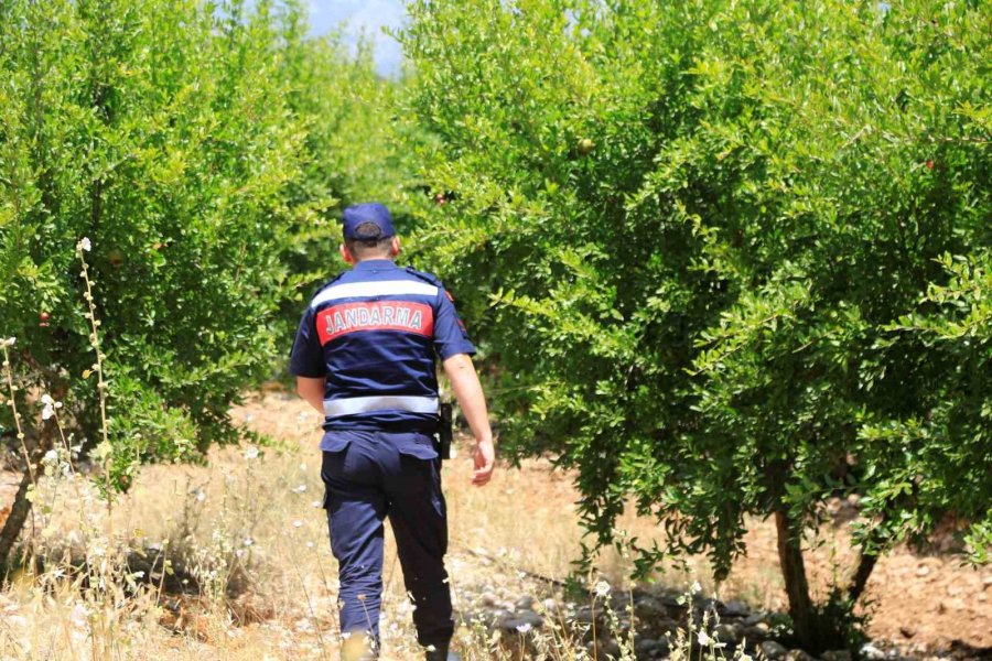 Kayıp Doktor İçin Jandarma Ve Afad Alarma Geçti