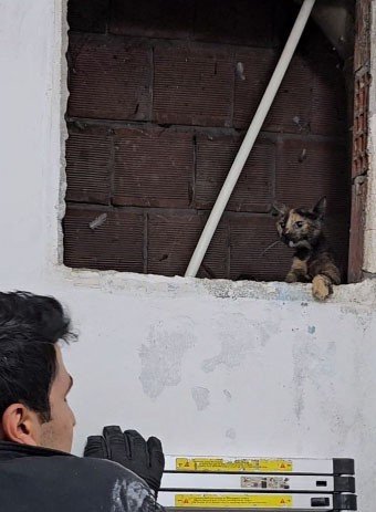 Anne Kedi, Yavrularını Koruma İçgüdüsüyle İtfaiyecinin Elini Tırmaladı