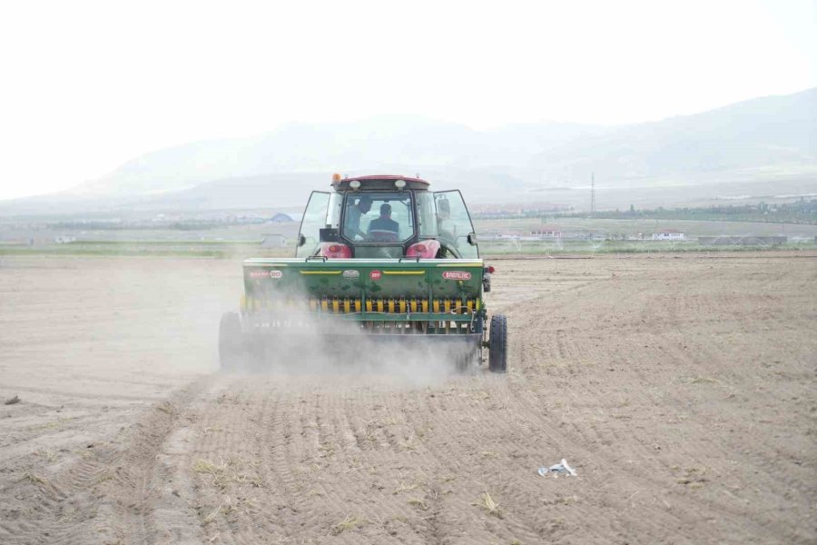 Niğde’de Kuraklığa Dayanıklı Tohum Ekildi