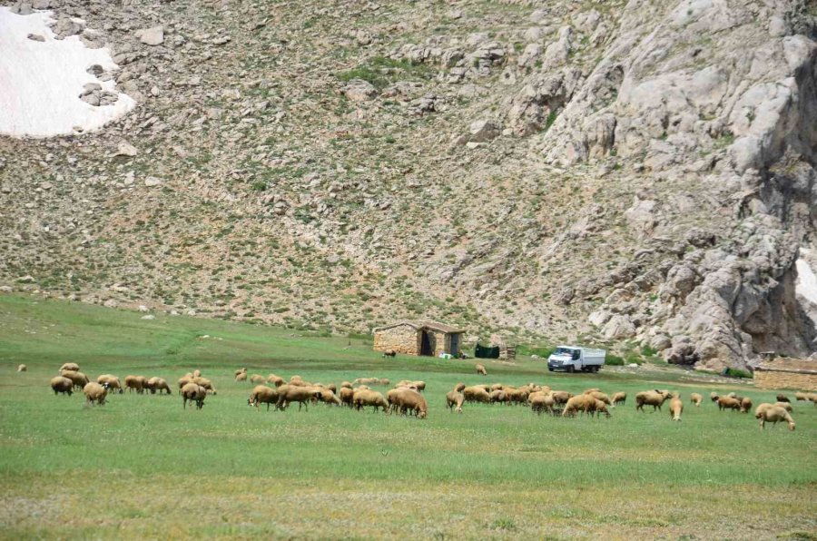 Antalya’da Yörüklerin Yayla Serüveni Başladı