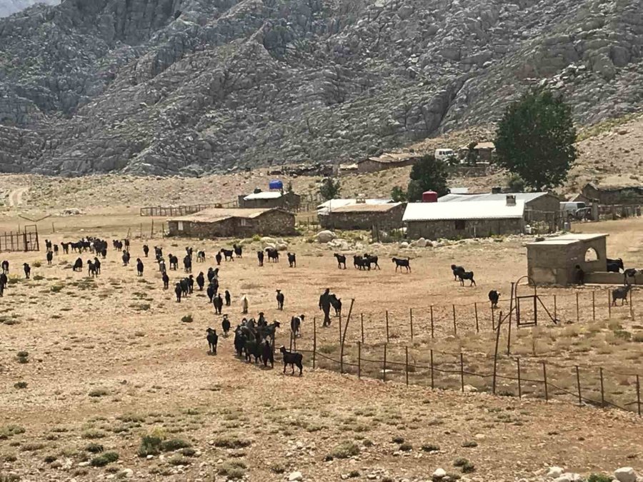 Antalya’da Yörüklerin Yayla Serüveni Başladı