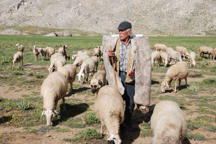 Antalya’da Yörüklerin Yayla Serüveni Başladı