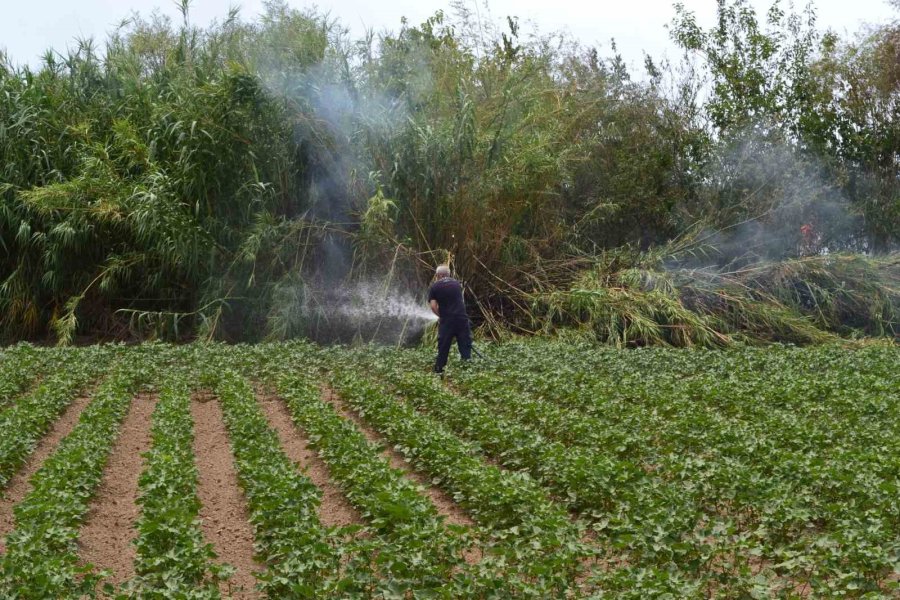 Antalya’da Çıkan Yangın Ağaçlara Sıçradı, Vatandaş Korkuya Kapıldı