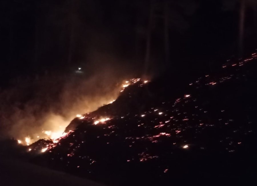 Mersin’de Orman Yangını: 10 Dönüm Alan Zarar Gördü