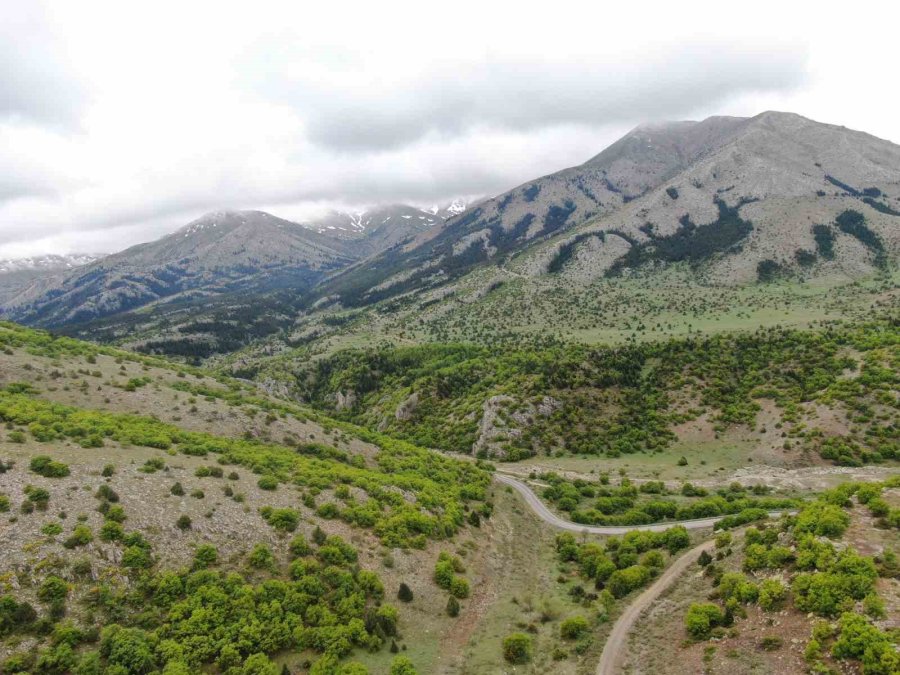 Kayseri’nin Belgrad’ı Berçin Ormanları