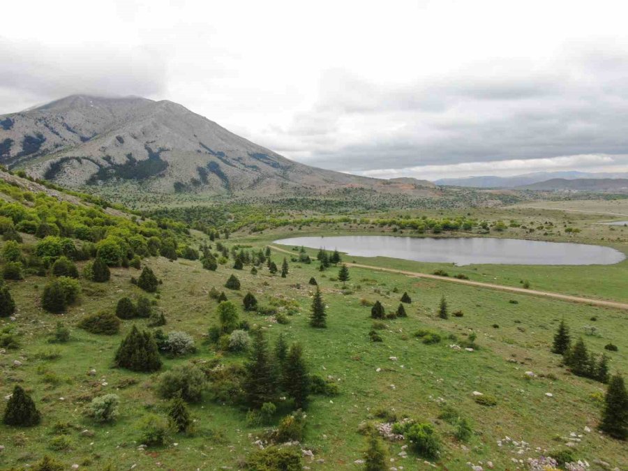 Kayseri’nin Belgrad’ı Berçin Ormanları