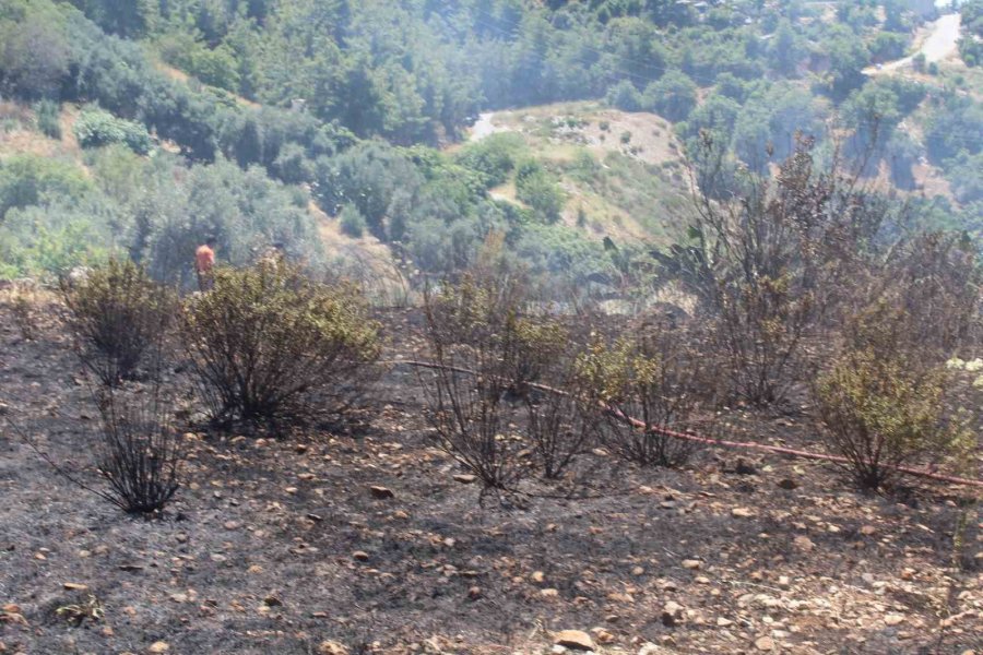 Alanya’da Otluk Olan Yangını İtfaiye Ekiplerince Söndürüldü