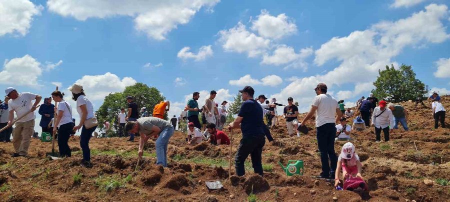 Sıfır Atık Ormanı Yeni Dikilen Fidanlar İle Büyüyor