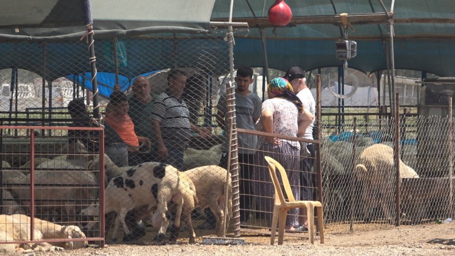 Mersin’de Kurbanlık Hayvan Pazarlarında Hareketlilik Başladı