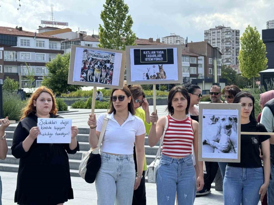 Hayvanseverlerden Sokak Hayvanları Yasa Teklifine Tepki