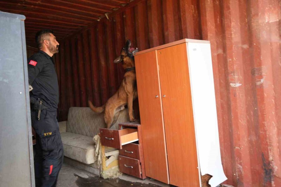 Antalya’da Para Ve Madde Kokusuna Duyarlı Köpekler Operasyonların Kurtarıcısı