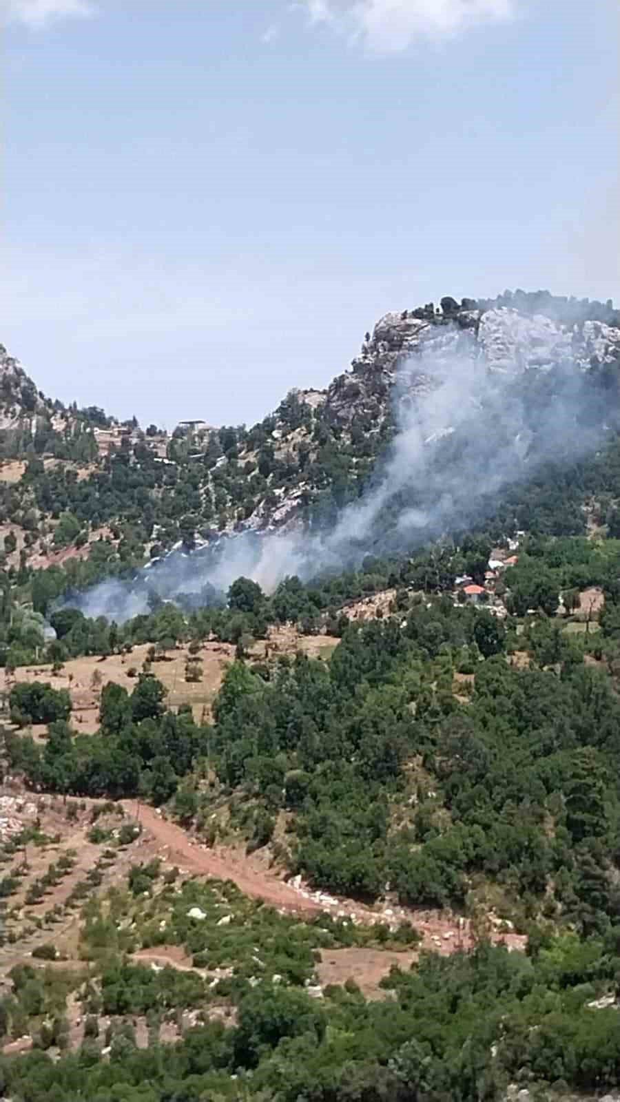 Ormanlık Alanda Çıkan Yangın Büyümeden Söndürüldü