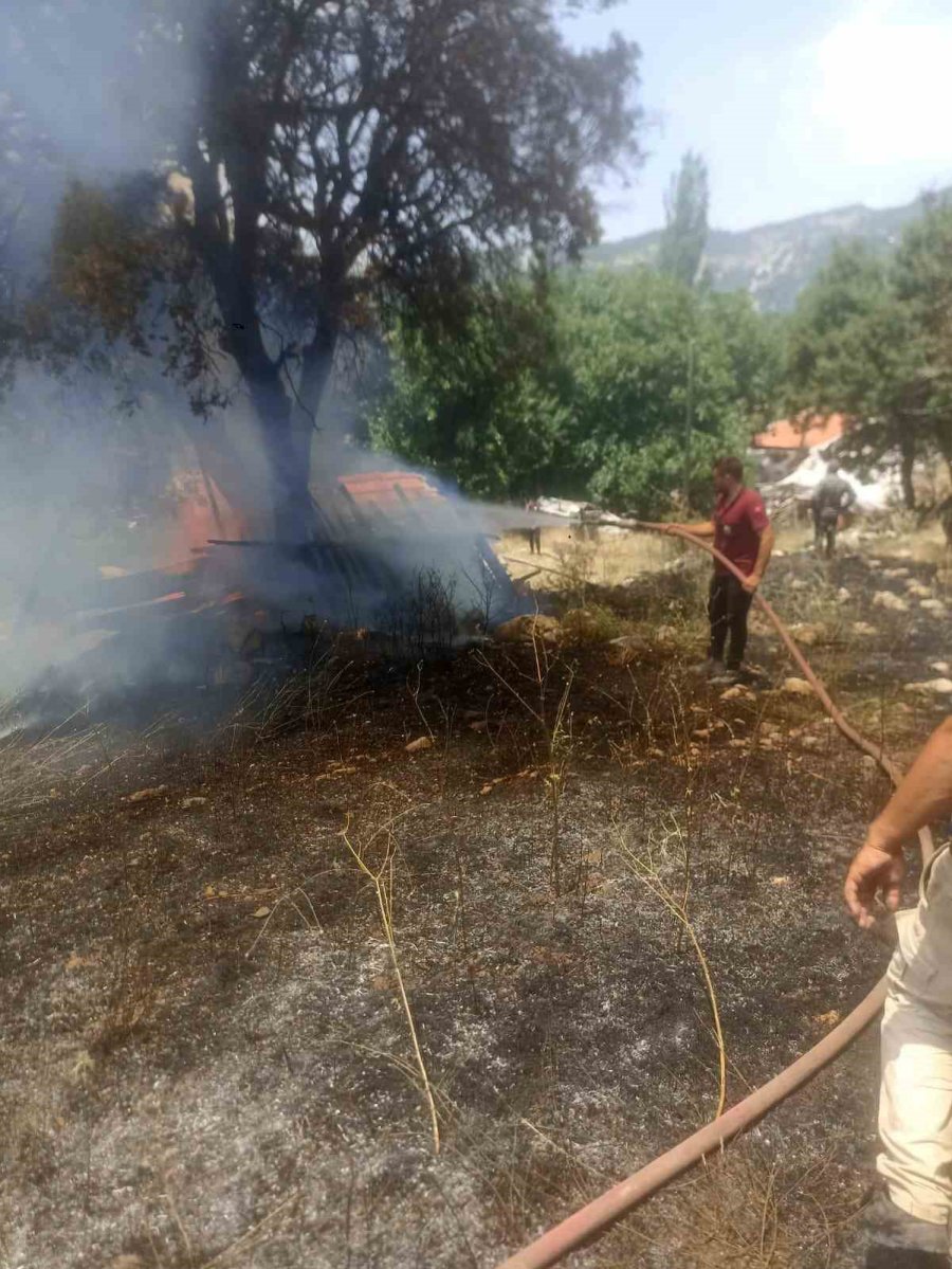 Ormanlık Alanda Çıkan Yangın Büyümeden Söndürüldü