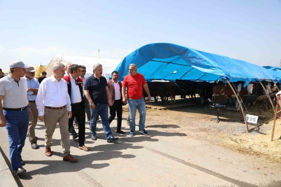 Başkan Palancıoğlu Kurban Pazarını İnceledi